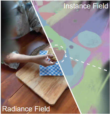 Consistent Instance Field